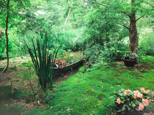 Garden pergola structure