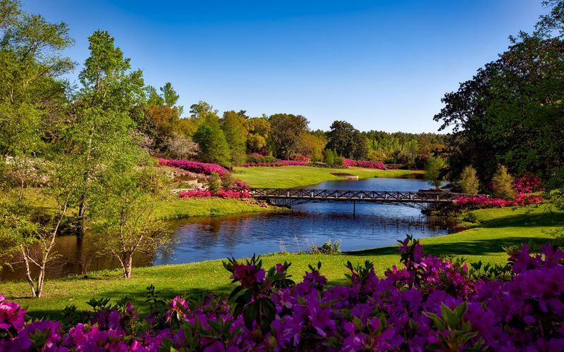 Beautiful garden path with lush plantings